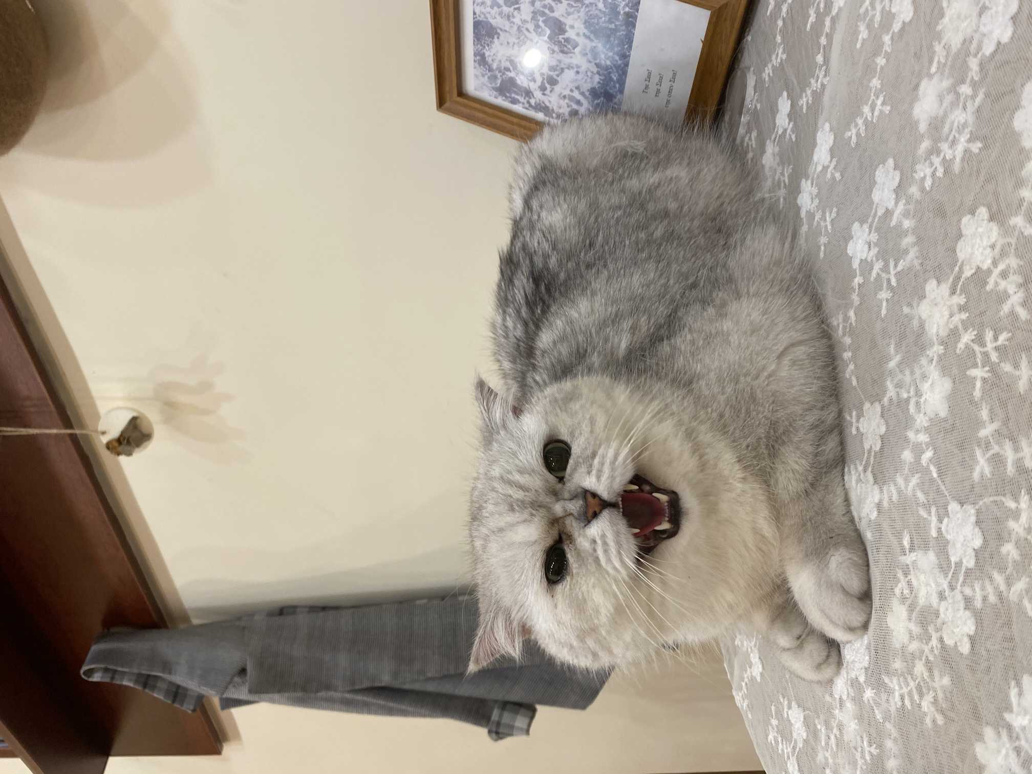 张祥辉