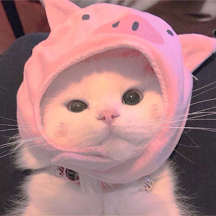 林晓静