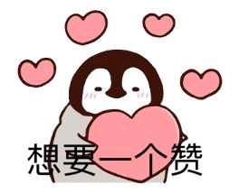 罗老师